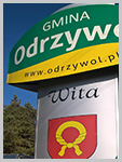 Witacz - Odrzywół